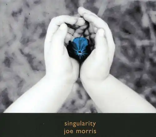 Professional Grade Singularity