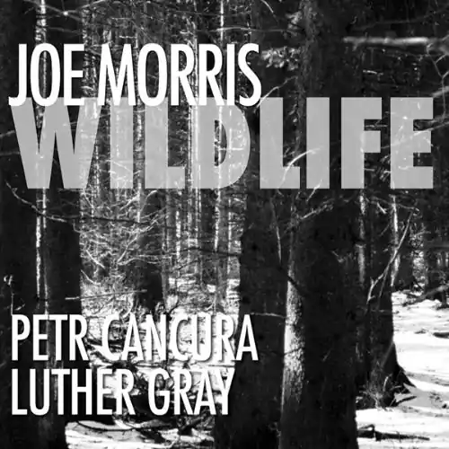 Wildlife Price Drop