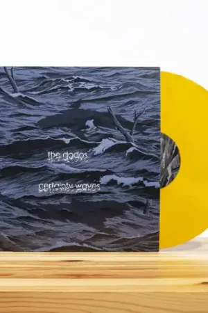Certainty Waves [LP] Hot Picks