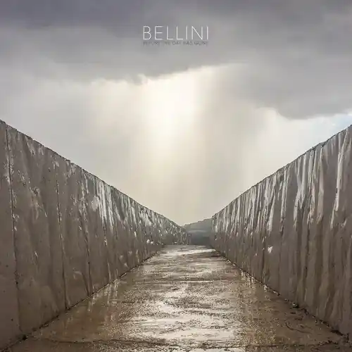 Before The Day Has Gone Limited Edition