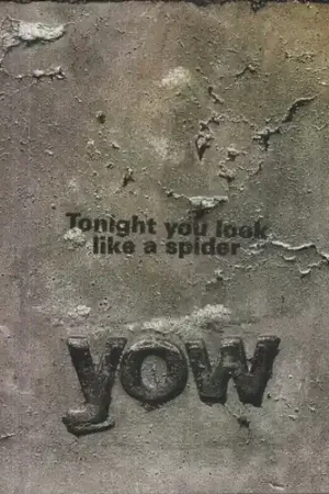 Low Price Tonight You Look Like a Spider