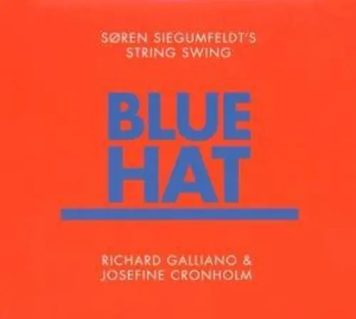Holiday Sale Blue Hat