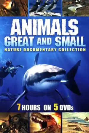 Animals Great and Small: Nature Documentary Collection Top Rated