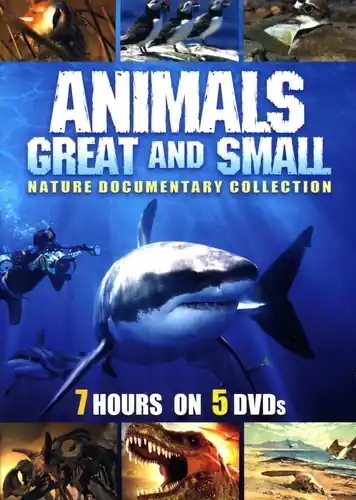 Animals Great and Small: Nature Documentary Collection Top Rated
