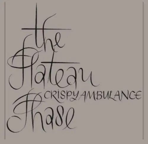 Holiday Sale The Plateau Phase