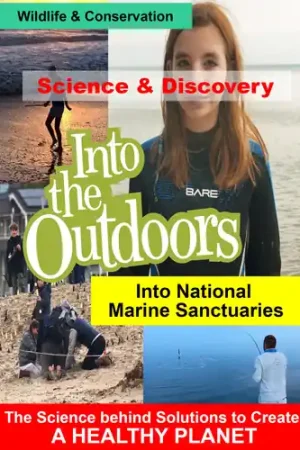 Top Rated Into National Marine Sanctuaries / (Mod)