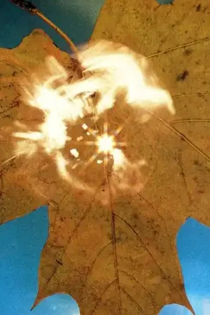 Force Of The Wind While Supplies Last
