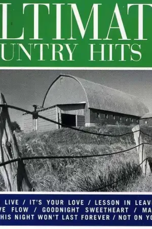 Budget Ultimate Country Hits, Vol. 2