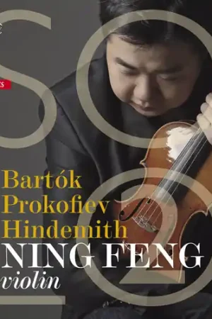 Order Now Violin Solo 2