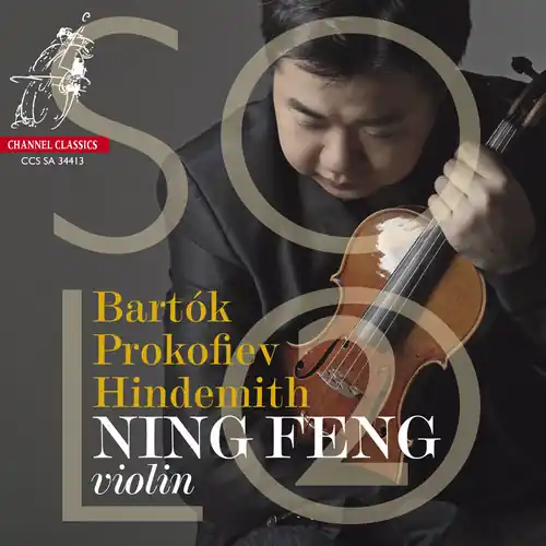 Order Now Violin Solo 2