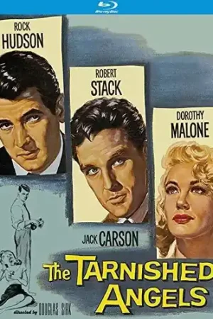 The Tarnished Angels Professional Grade