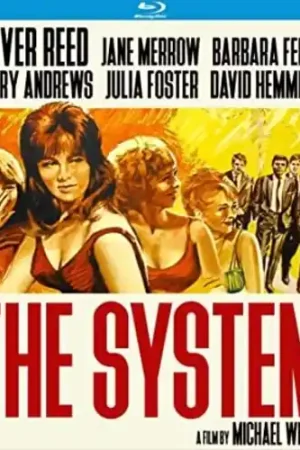 Trending The System (aka The Girl-Getters)