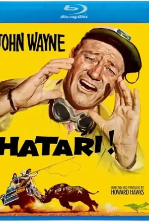 Hatari! Don’t Miss Out