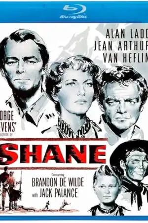 Latest Shane / (Anam Sub)