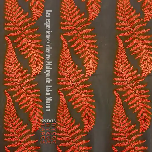 Certified Electro Maloya Experiments Of Jako Maron - Red