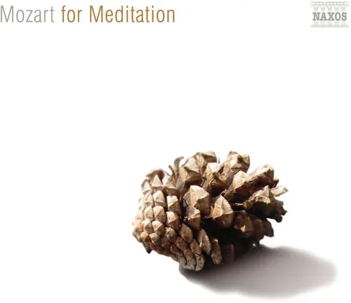 For Meditation One Day Deal