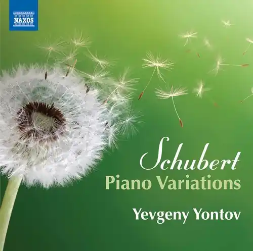 Fast Shipping Franz Schubert: Piano Variations