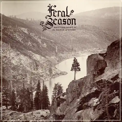 Grab Now Rotting Body In The Range Of Light