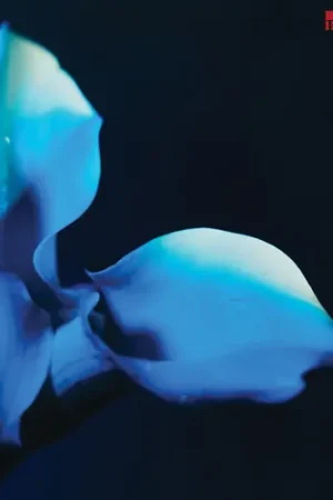 Birthmarks (Blue) [Colored Vinyl] While Supplies Last