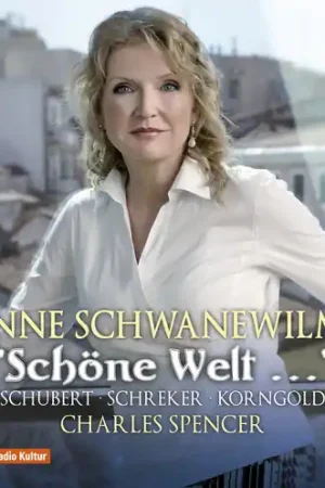 Secure Checkout Schone Welt