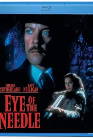 Money Back Guarantee Eye Of The Needle