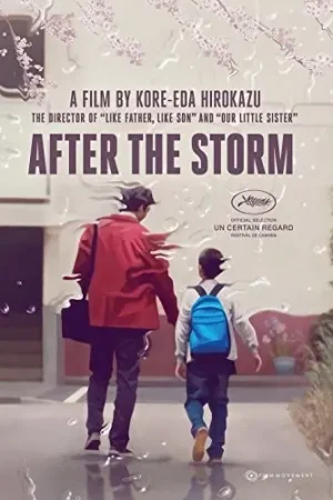 Deal After the Storm
