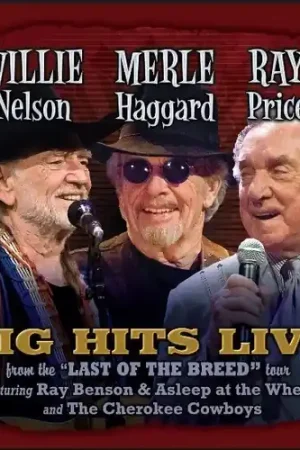 Deal Willie Merle & Ray: Big Hits Live from the Last