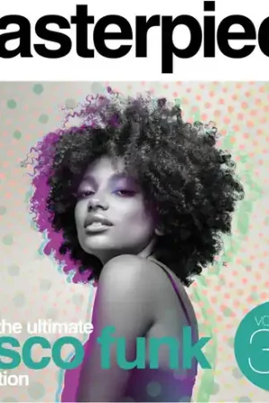 Ultimate Disco Funk Collection Vol 33 / Various Flash Sale