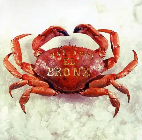 Bulk Order Mariachi El Bronx (I)