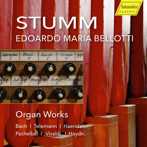 Stumm Organ Next Day Delivery