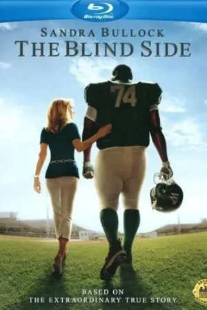 Cheap The Blind Side