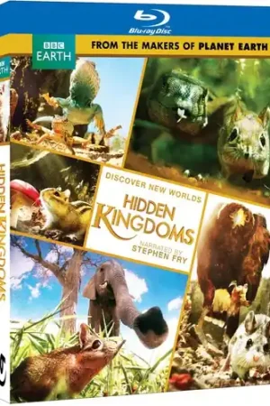 Hidden Kingdom Buy Direct