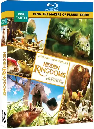 Hidden Kingdom Buy Direct