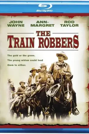 The Train Robbers Hot Picks