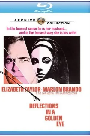 Editor’s Pick Reflections in a Golden Eye