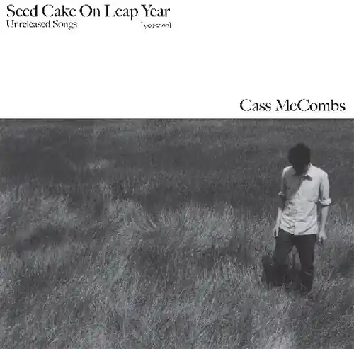 Brand New Seed Cake On Leap Year