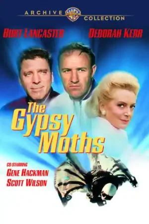 The Gypsy Moths Next Day Delivery