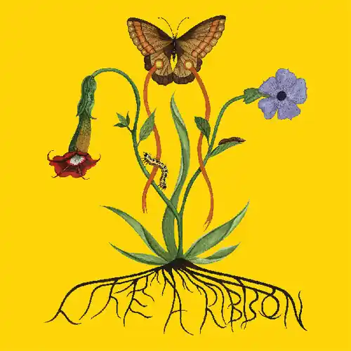 Final Sale Like A Ribbon