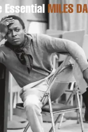 The Essential Miles Davis [Vinyl] Professional Grade