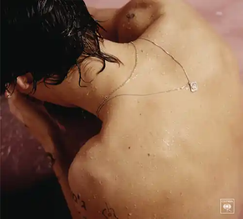Harry Styles Don’t Miss Out