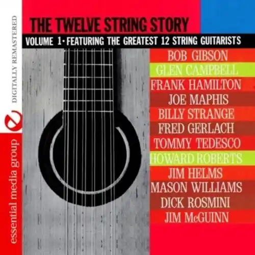 Twelve String Story: 1 / Various Hassle-Free Returns