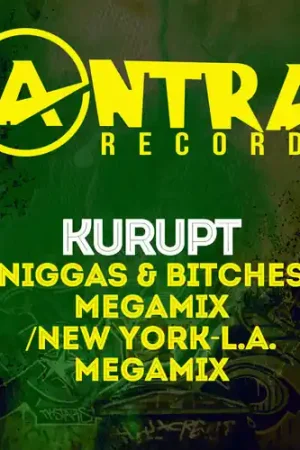 Niggas & Bitches Megamix / New York-L.A. Megamix Place Order