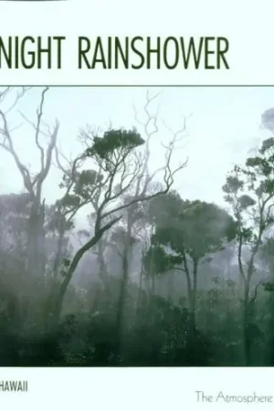 Midnight Rainshower Free Returns