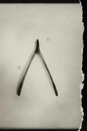 Bulk Order Wishbone
