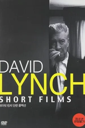 David Lynch: Short Films [DVD] Must Have
