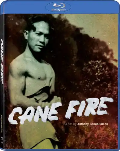 Direct From Manufacturer Cane Fire / (Ac3 Dol Dts Ws)