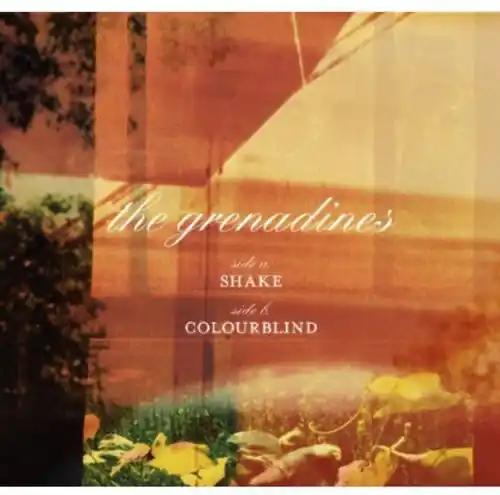 Fast Shipping Shake/Colorblind
