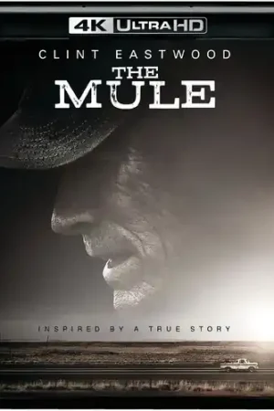 Mule (4k) (Wbr) (2pk) Top Pick