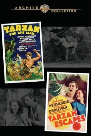Holiday Sale Tarzan The Ape Man / Tarzan Escapes