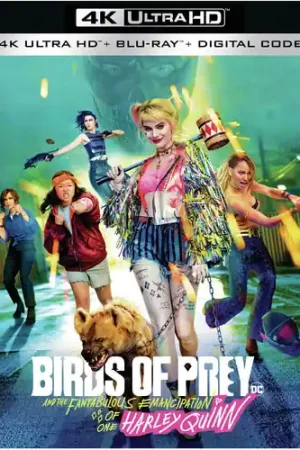 Birds of Prey (And the Fantabulous Emancipation of One Harley Quinn) Brand New